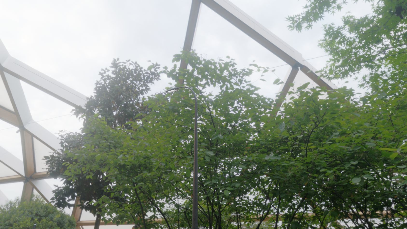 Street Light 11 version 13 6m with pole 1 Low-poly 3D model_62