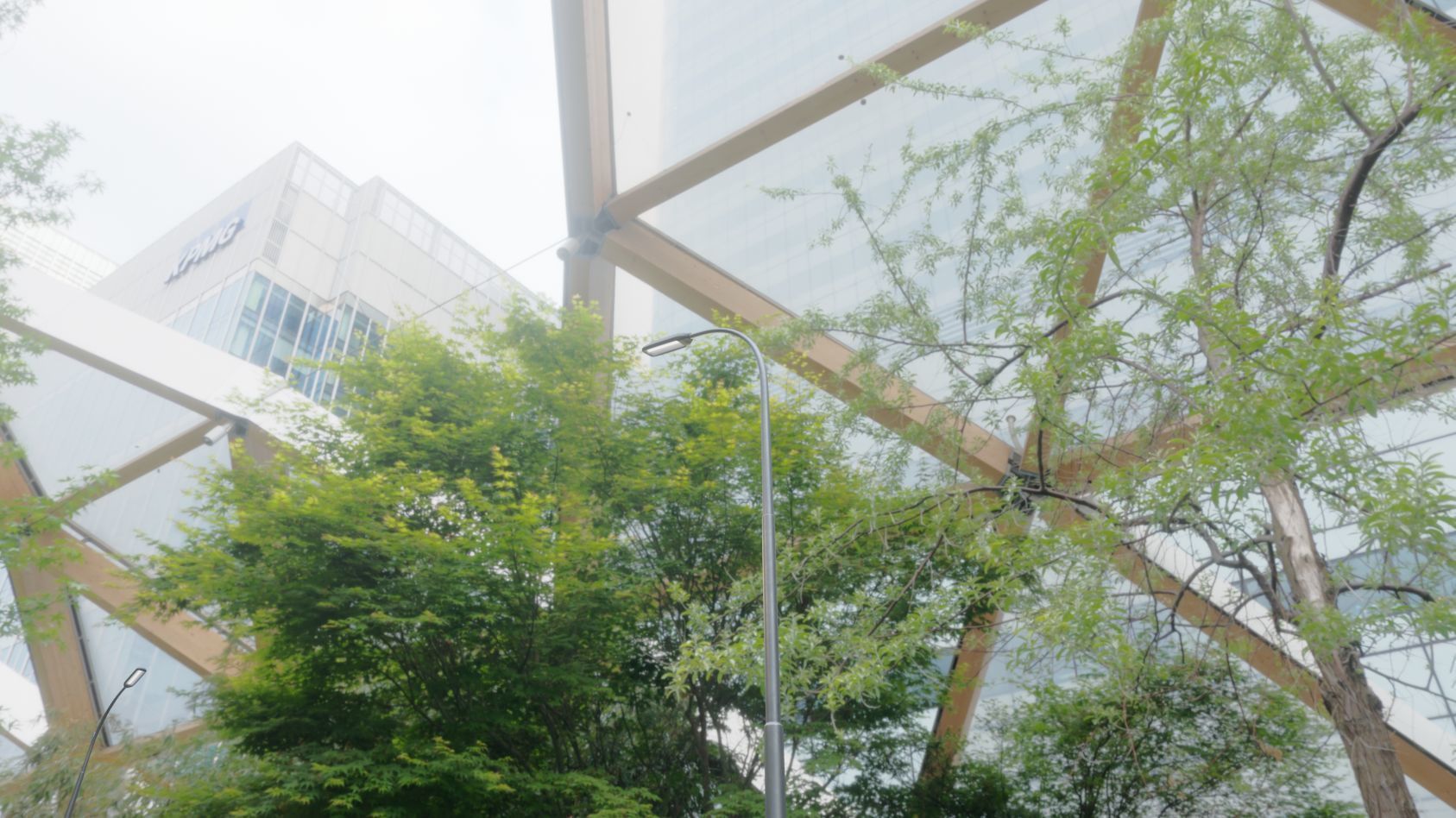 Street Light 11 version 11 6m with pole 1 Low-poly 3D model_97