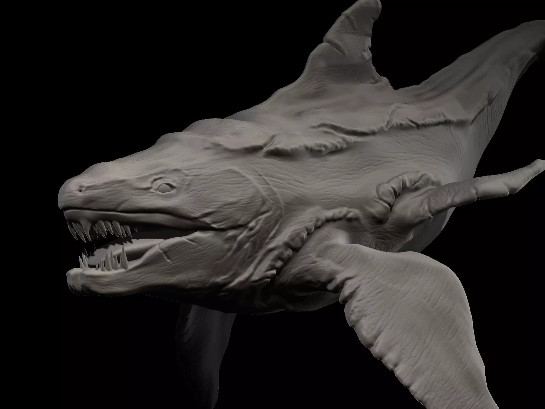 Predator X shark 3D print model_0