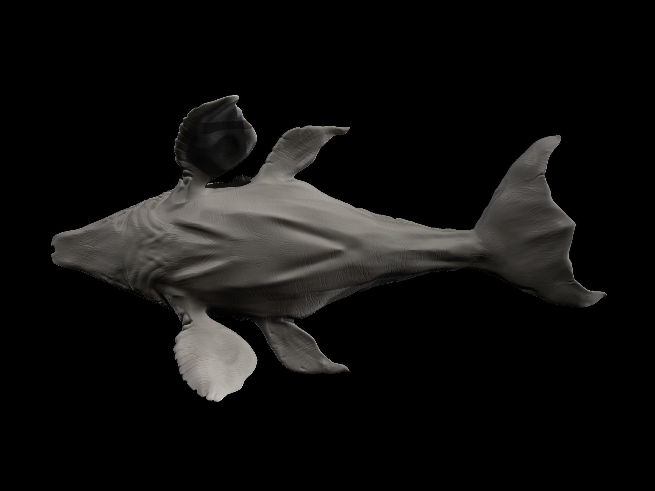 Predator X shark 3D print model_3