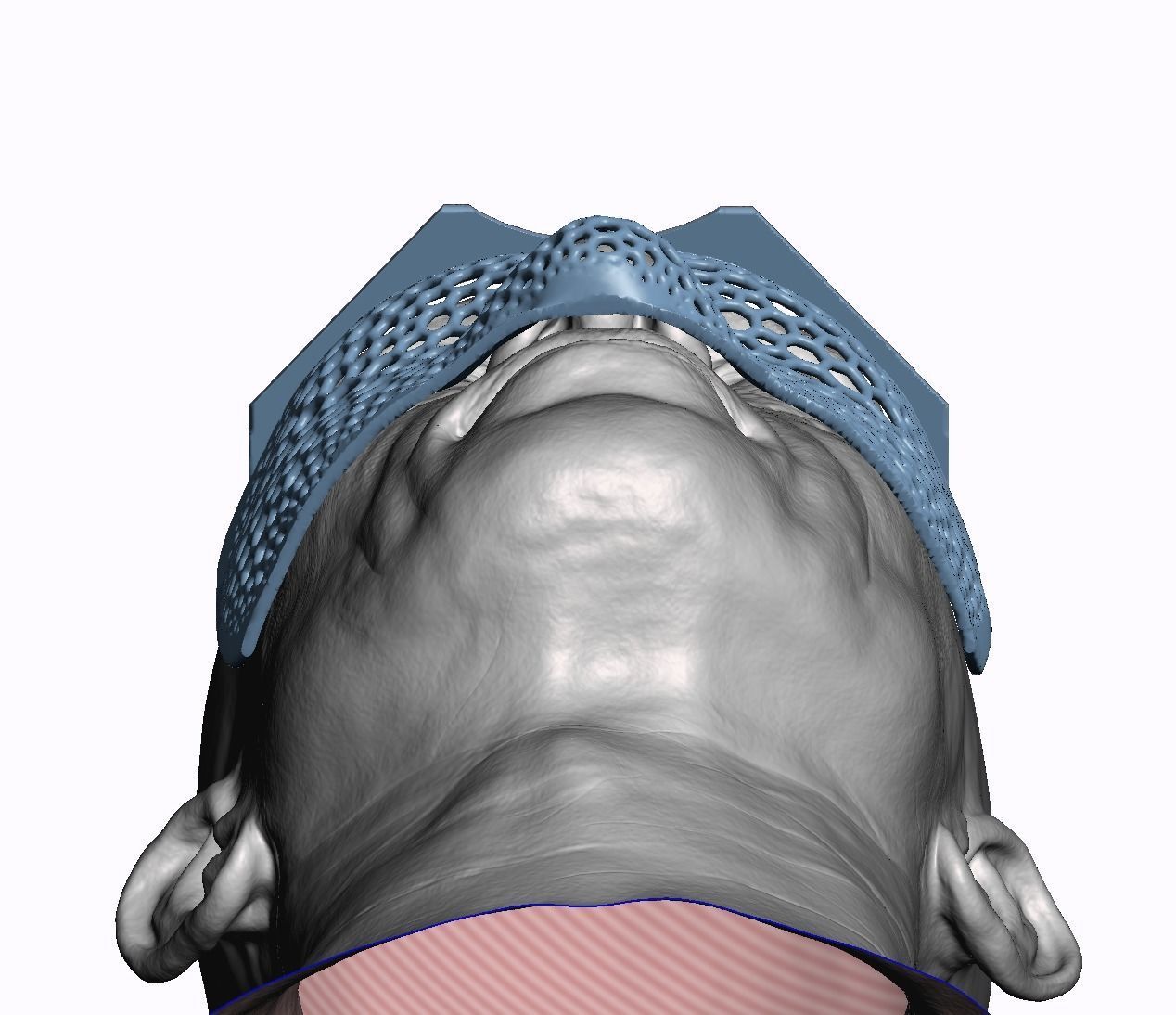 Impression tray for face 3D print model_6