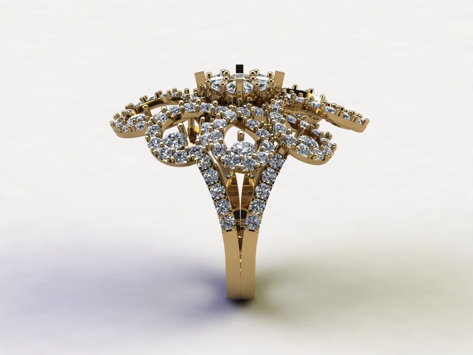 women ring in Asia also popular too R85 3D model_5