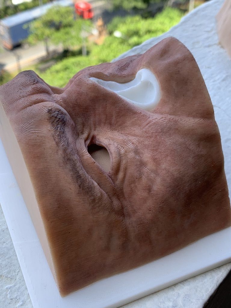 Mold for Maxillofacial prosthetic work model 3D print model_8