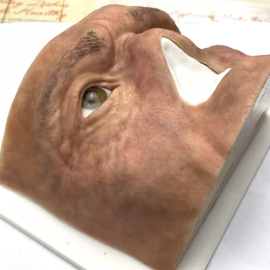 Mold for Maxillofacial prosthetic work model 3D print model_0