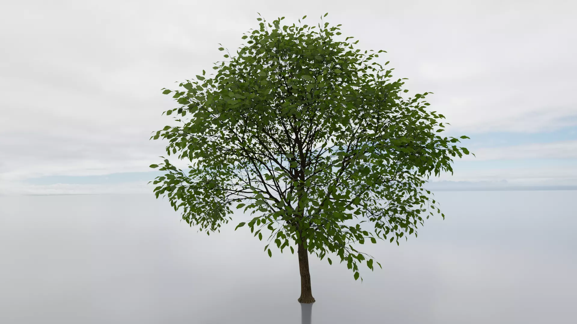 high detail 3d tree model Free 3D model_0