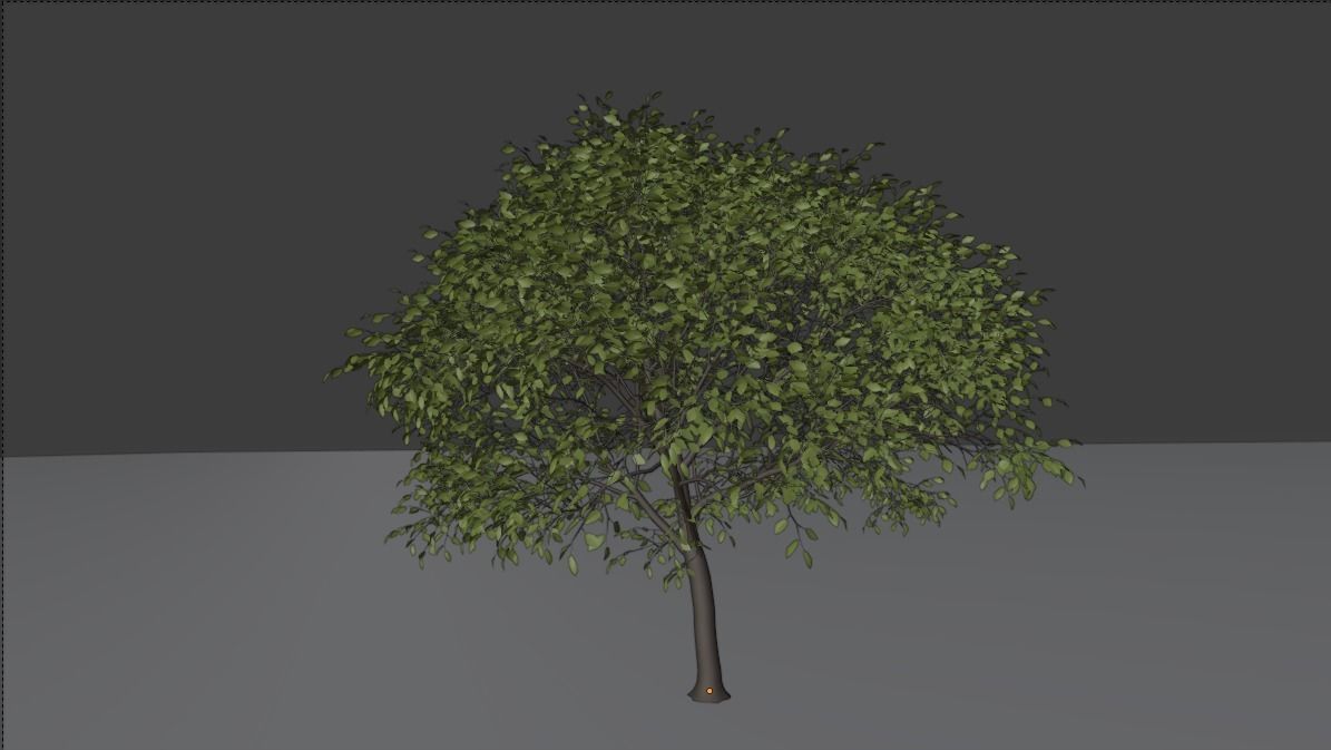high detail 3d tree model Free 3D model_5