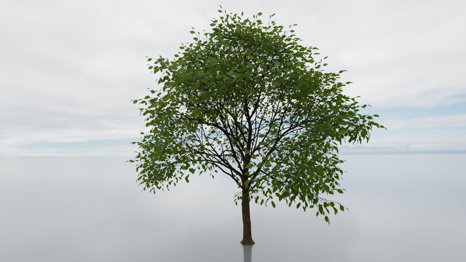 high detail 3d tree model Free 3D model_1