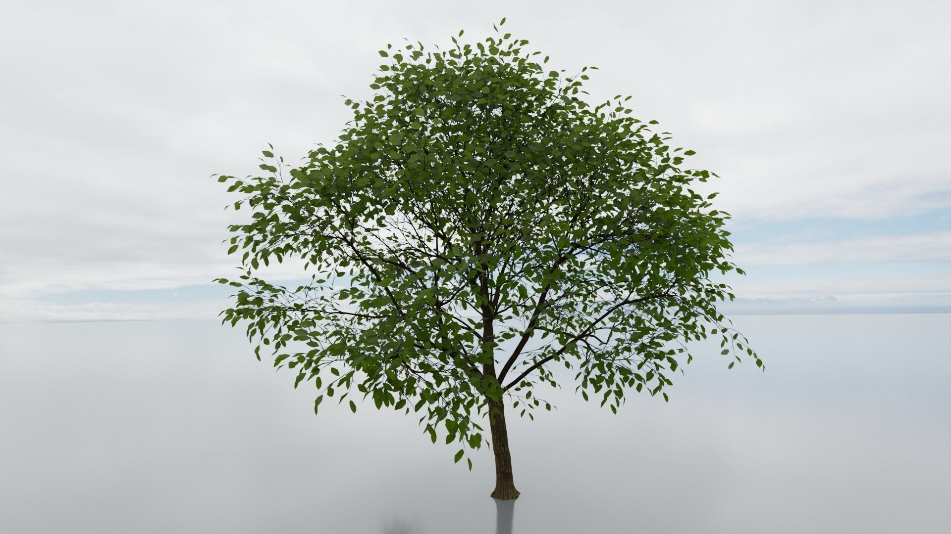 high detail 3d tree model Free 3D model_2