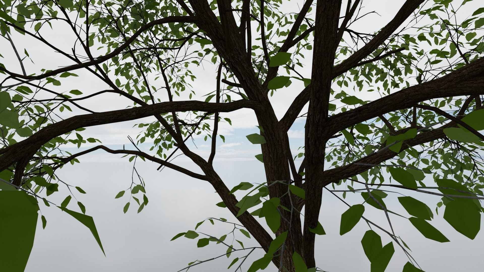 high detail 3d tree model Free 3D model_7