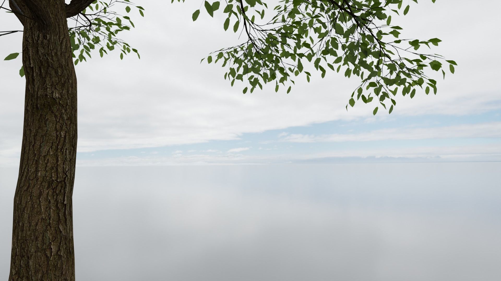 high detail 3d tree model Free 3D model_8