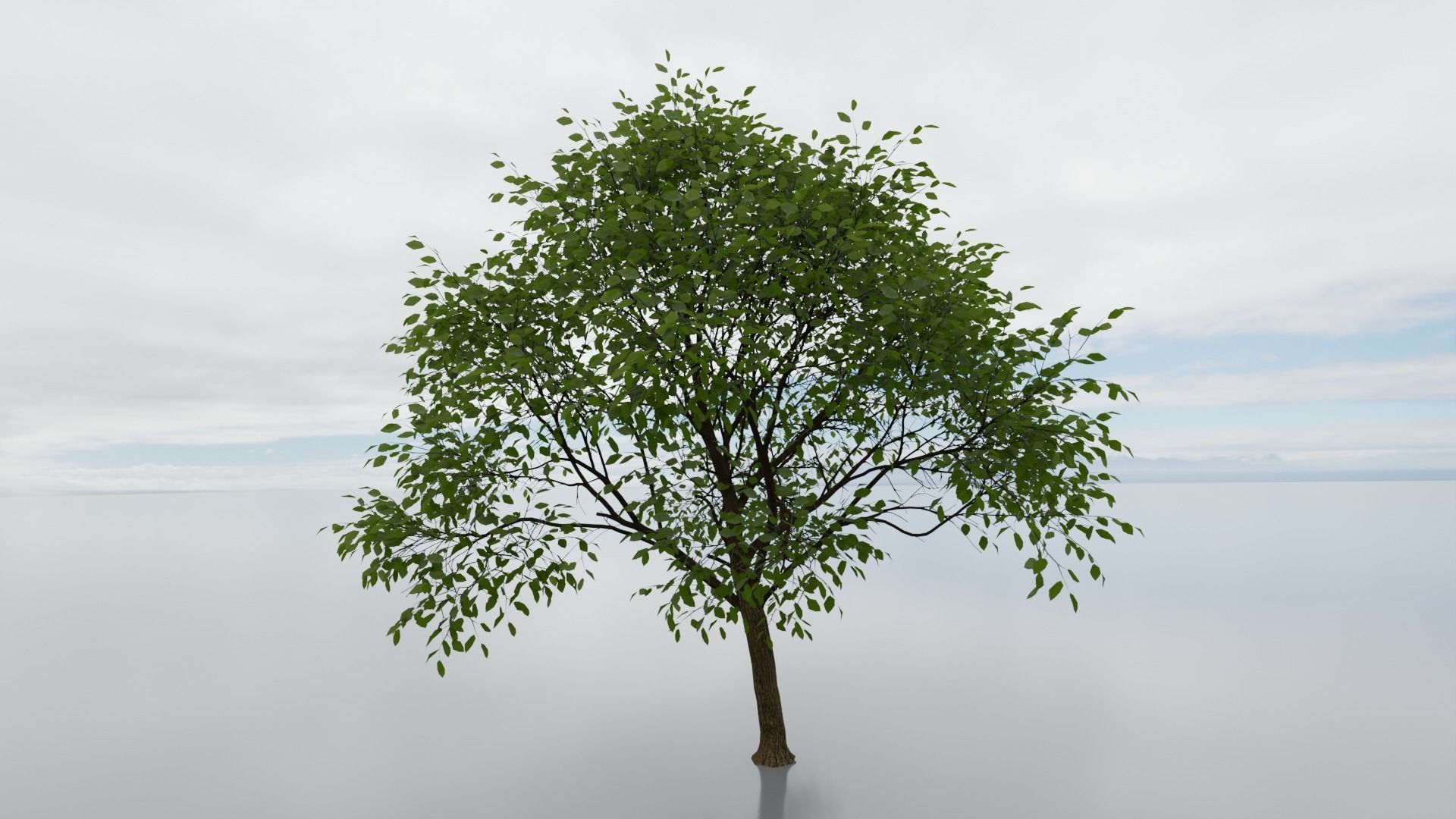 high detail 3d tree model Free 3D model_3