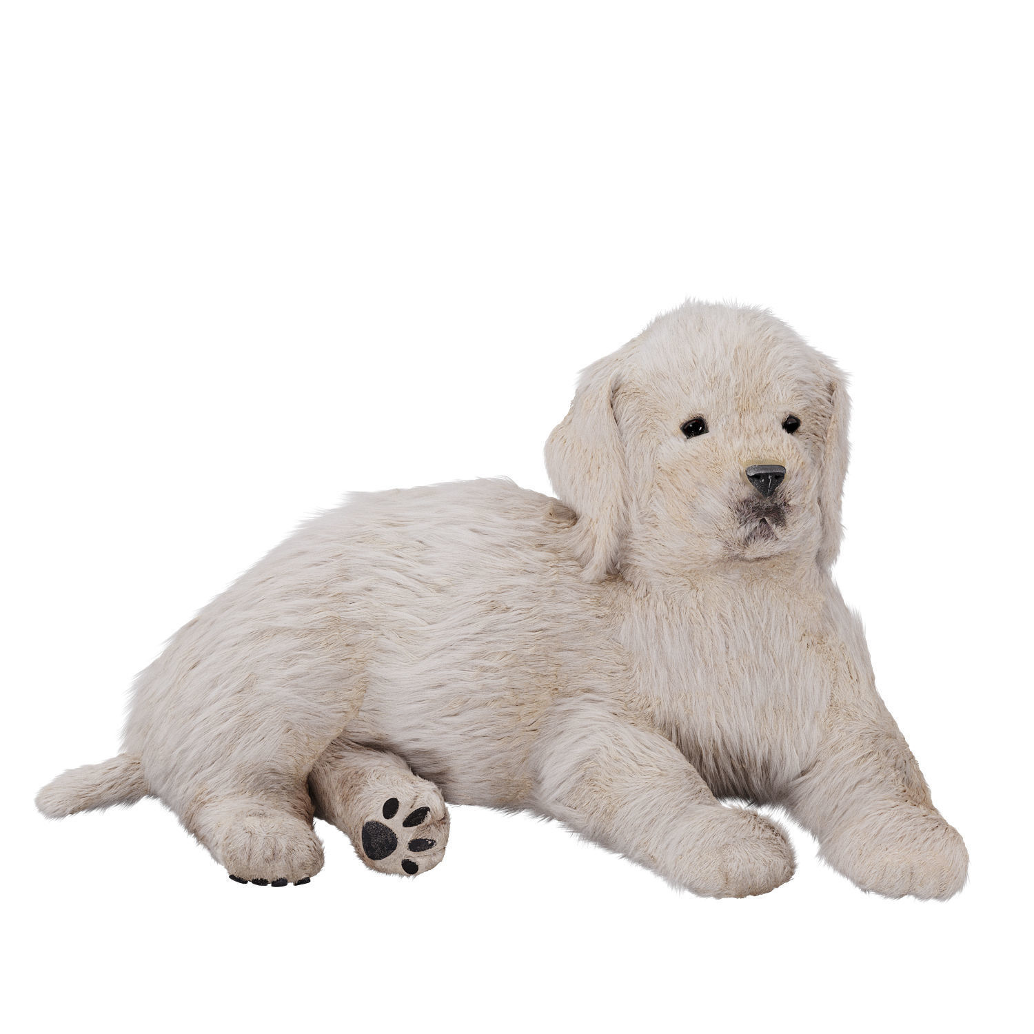 Labrador puppy 3D model_3