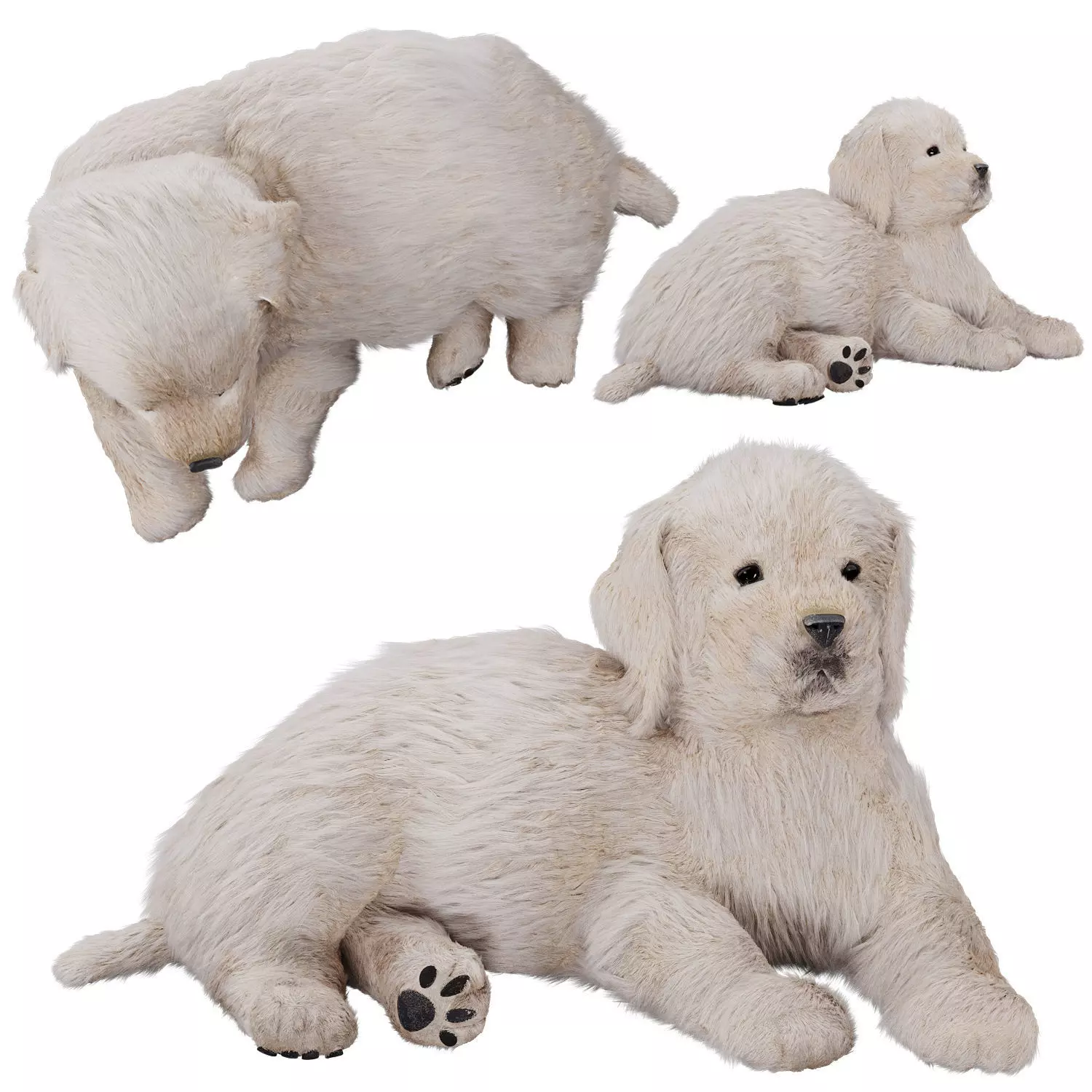 Labrador puppy 3D model_0