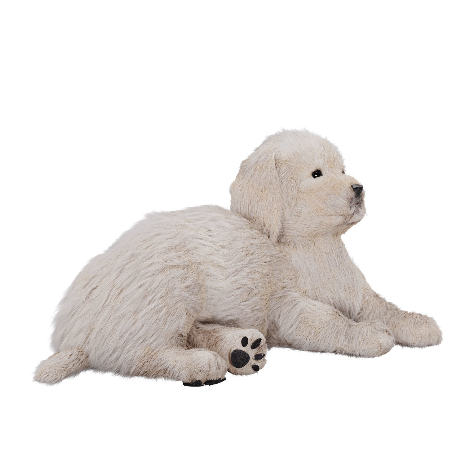 Labrador puppy 3D model_2