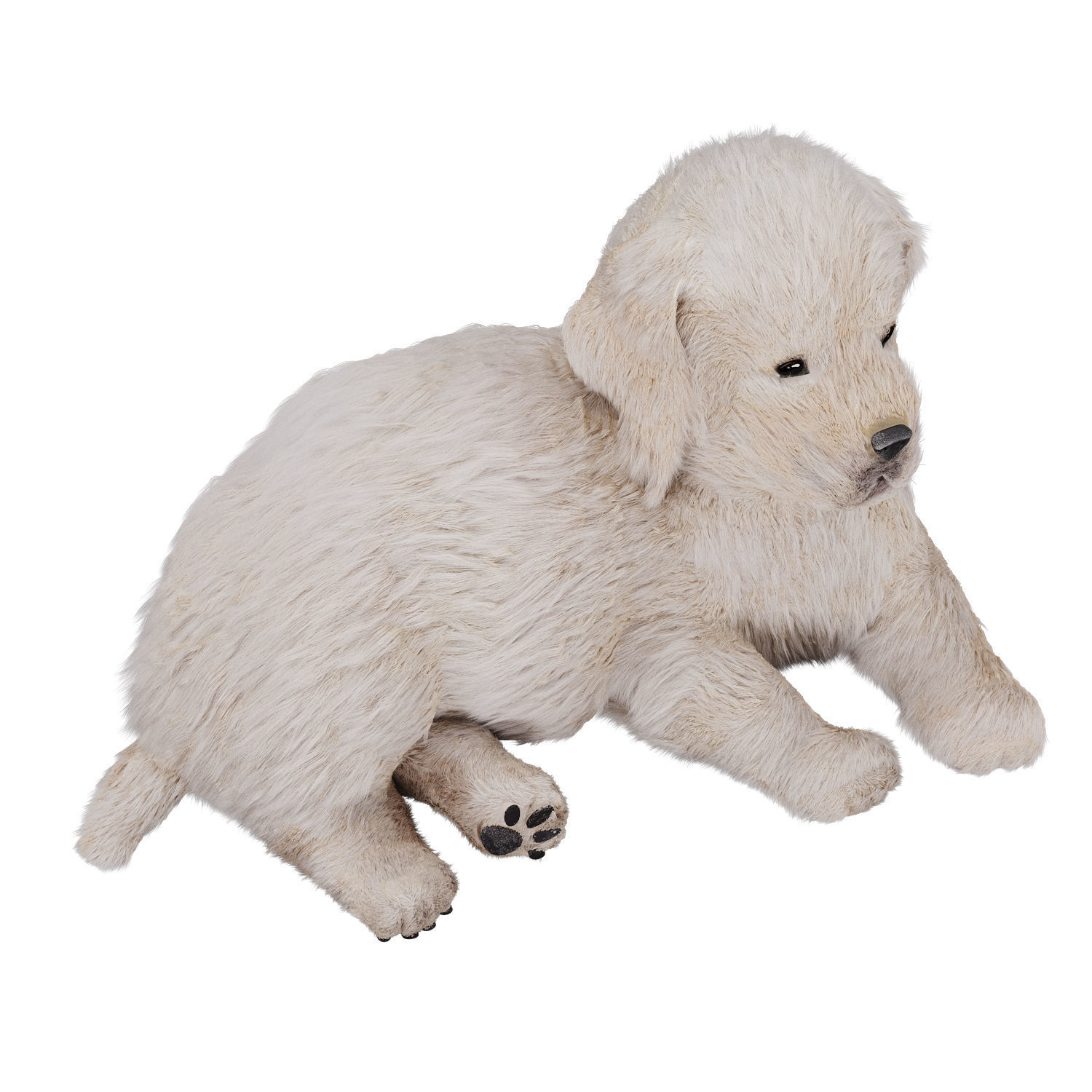 Labrador puppy 3D model_1