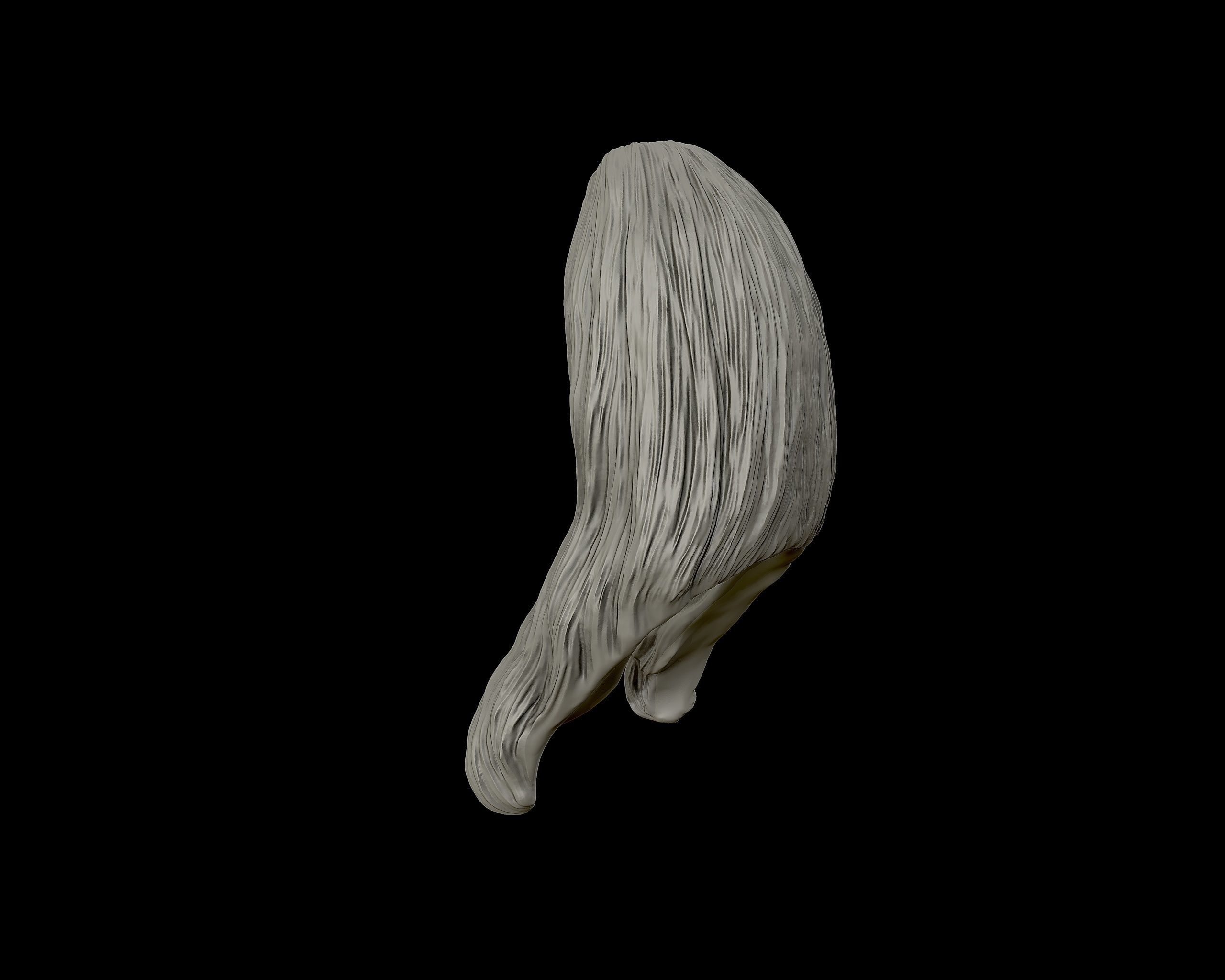 Hairstyle 10 3D print model_16