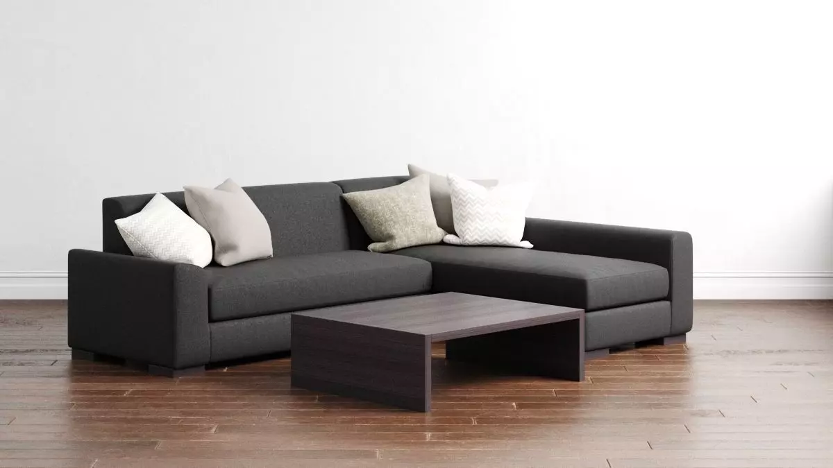 Sofa with Coffee Table 3D model_0