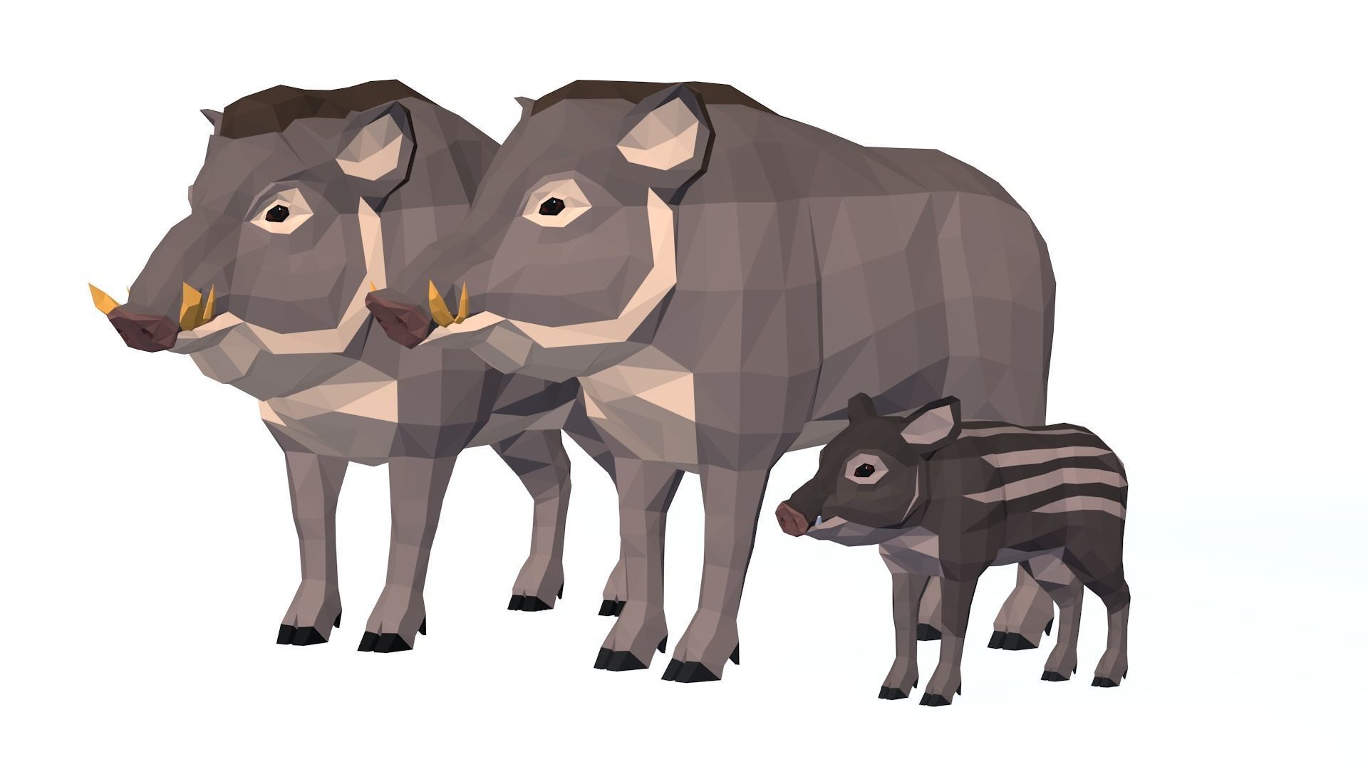 LowPoly Boars pack Low-poly 3D model_6