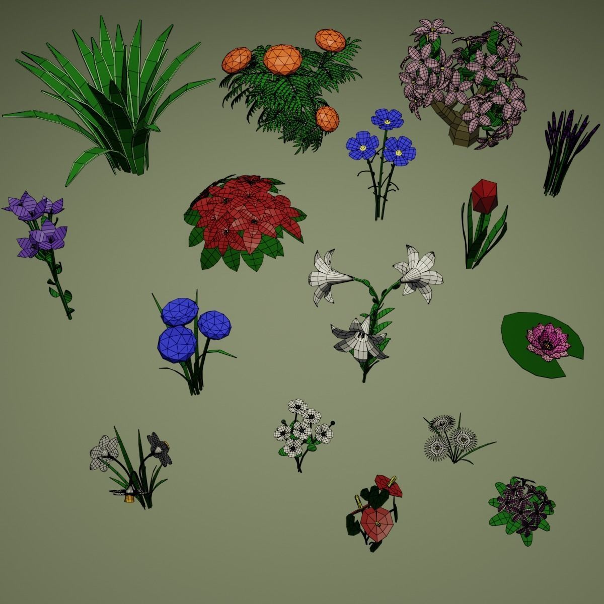 Low Poly Flowers different Low-poly 3D model_1