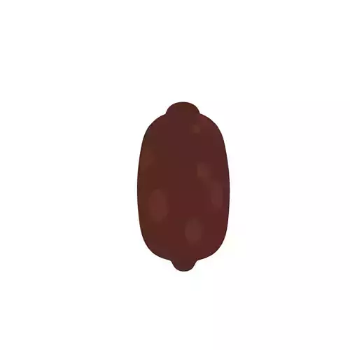 Cupuacu fruit 3D model
