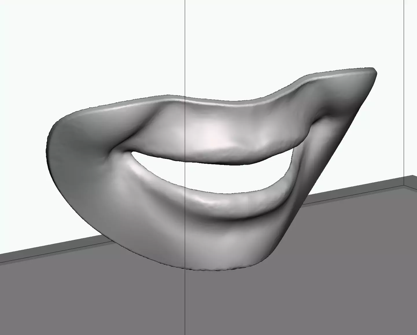 Smile line checker lip plate 3D print model