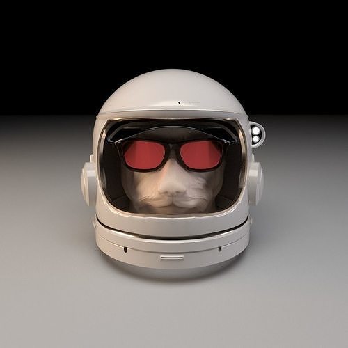 NASA Dogman  Free 3D model