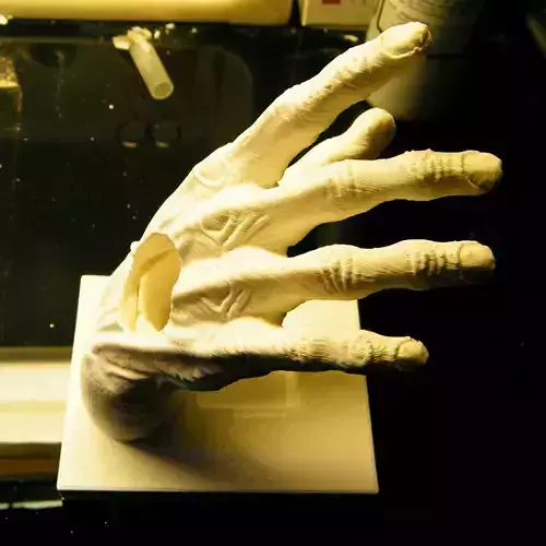 ZOMBIE HAND 3D print model