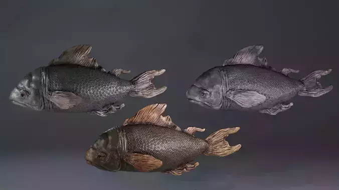 Fish Game asset Low-poly 3D model
