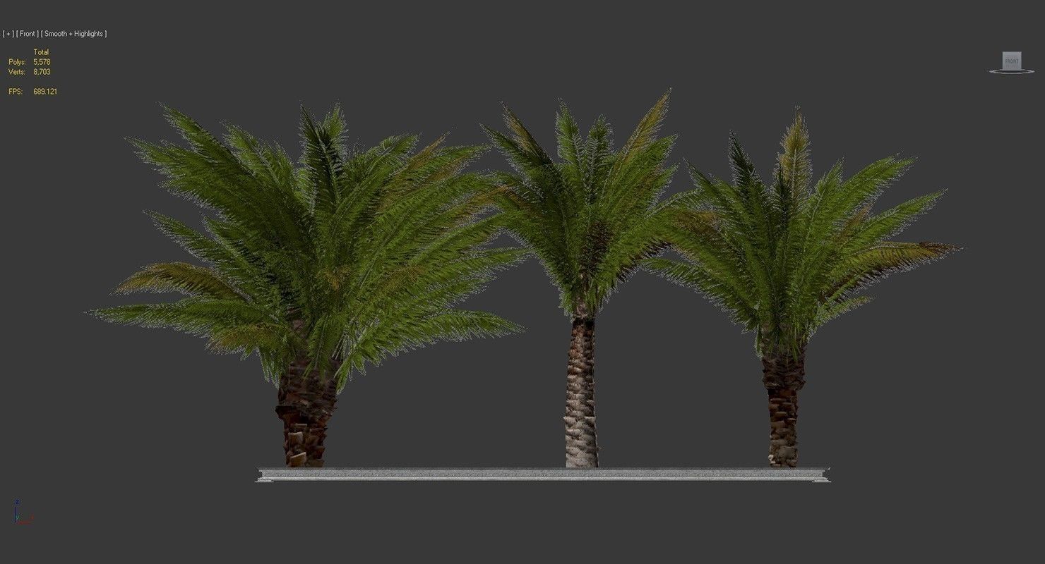 Palm Tree Set 2 Low Poly Low-poly 3D model_9