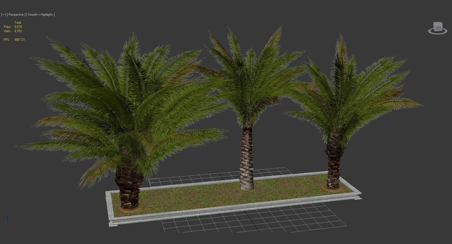 Palm Tree Set 2 Low Poly Low-poly 3D model_7