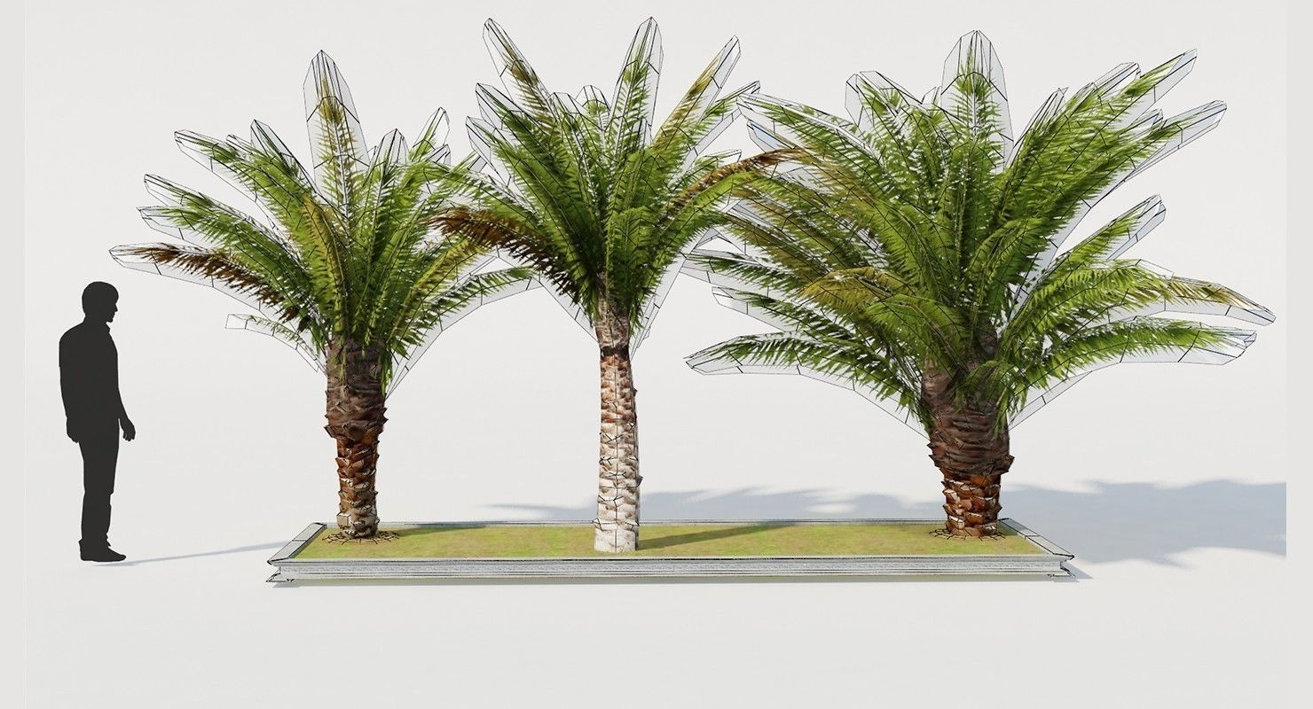 Palm Tree Set 2 Low Poly Low-poly 3D model_4