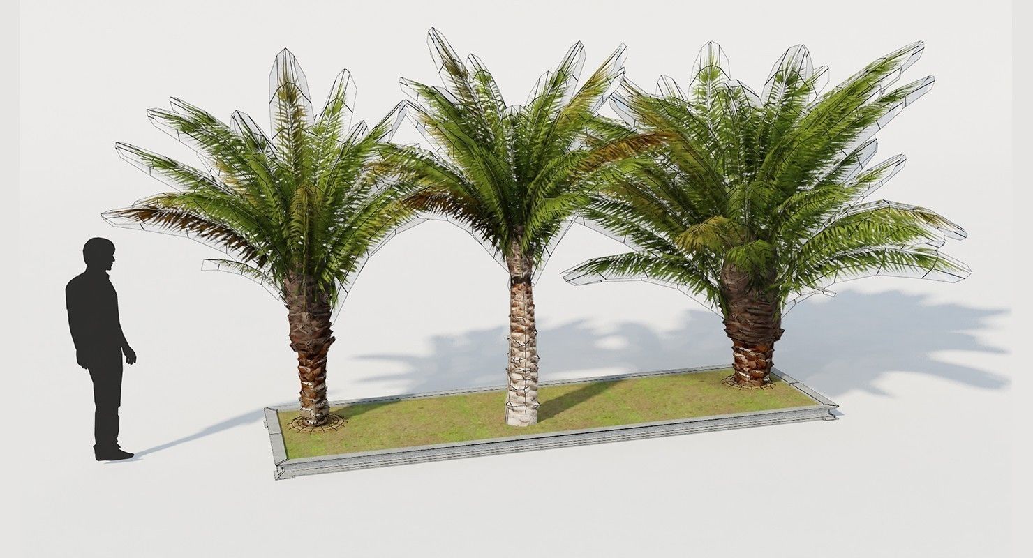 Palm Tree Set 2 Low Poly Low-poly 3D model_5