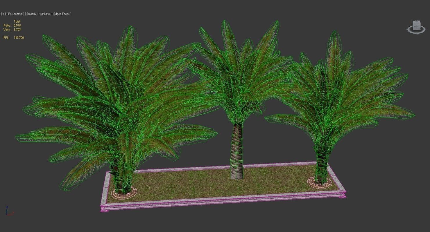 Palm Tree Set 2 Low Poly Low-poly 3D model_10