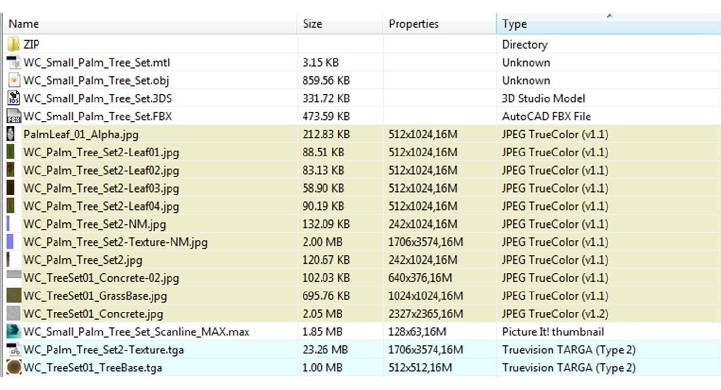 Palm Tree Set 2 Low Poly Low-poly 3D model_12