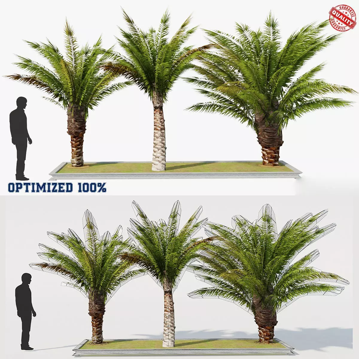 Palm Tree Set 2 Low Poly Low-poly 3D model_0