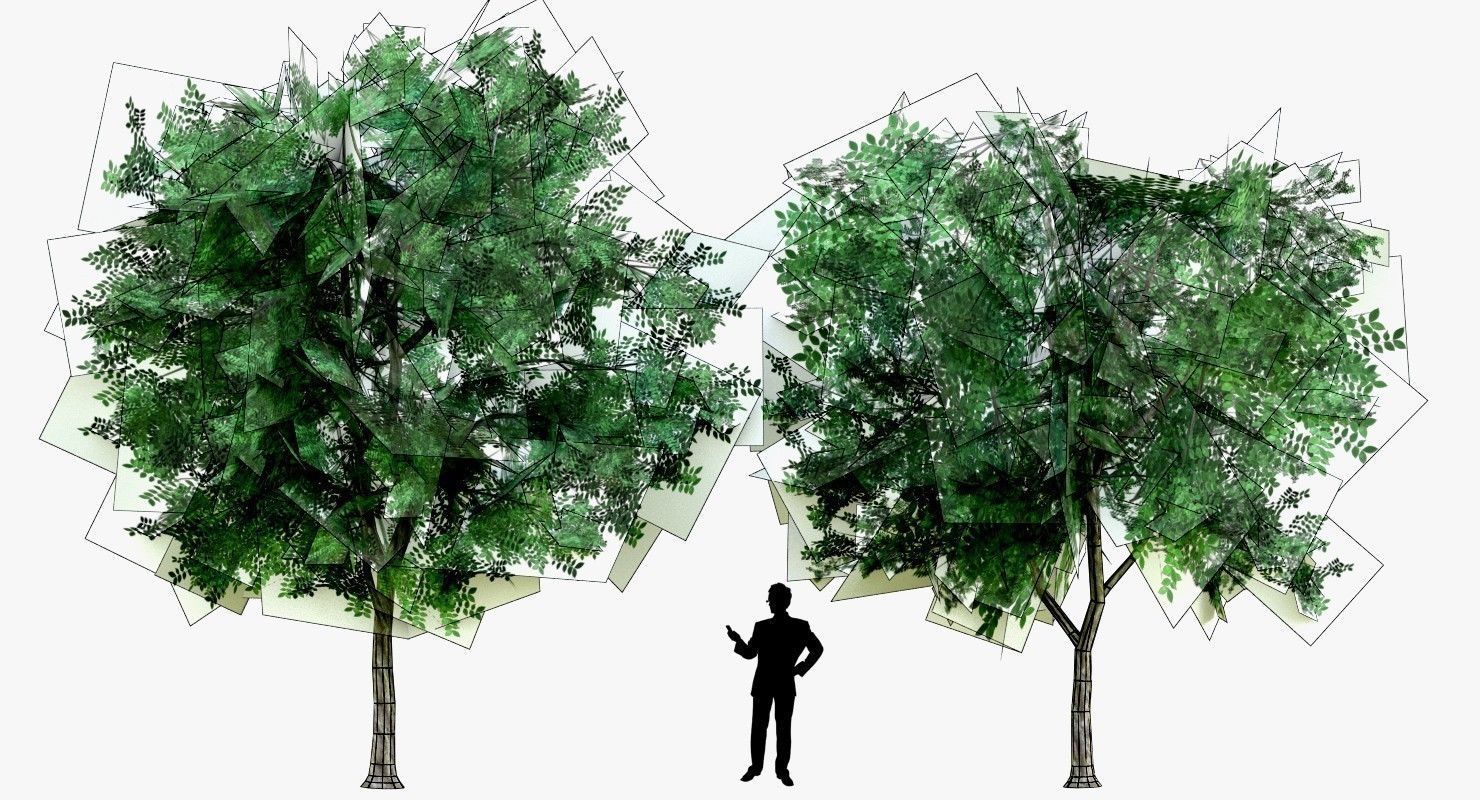 Low Poly 2 Tree four trees Low-poly 3D model_4