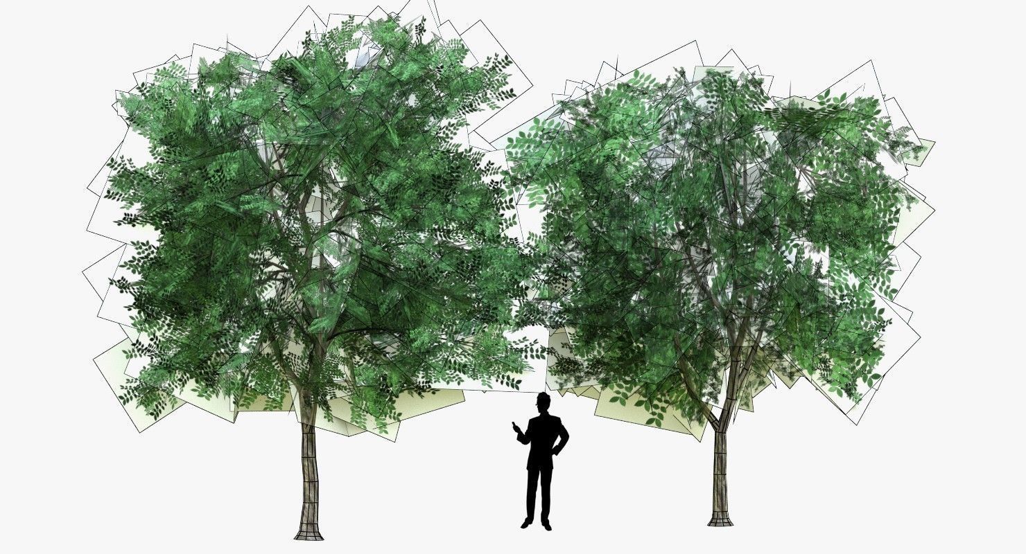 Low Poly 2 Tree four trees Low-poly 3D model_5