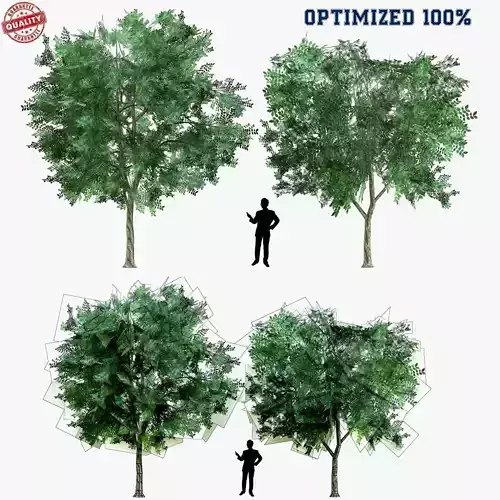 Low Poly 2 Tree four trees Low-poly 3D model