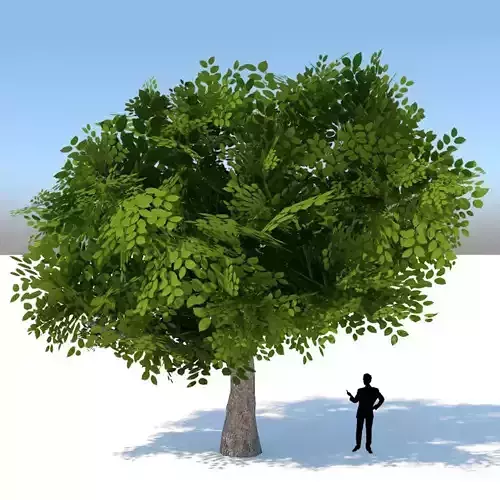 Tree Optimized Low-poly 3D model