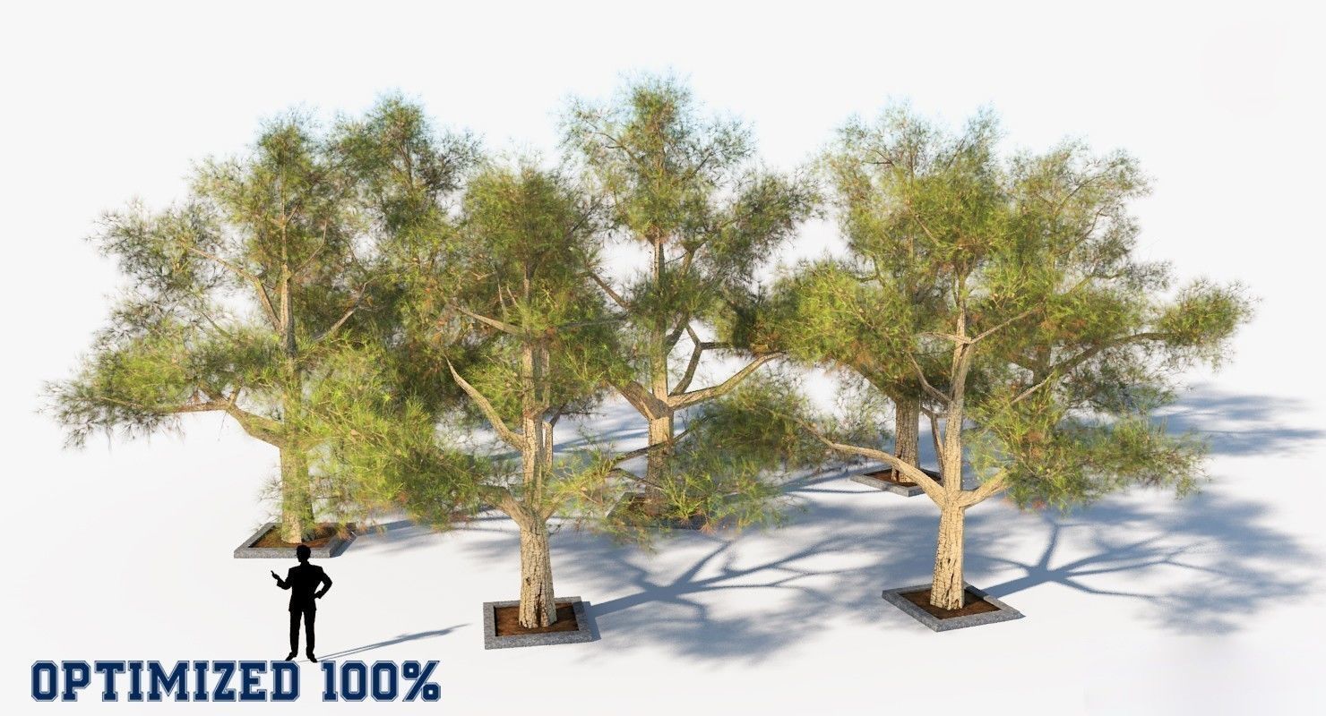 Tree Optimized Low-poly 3D model_2