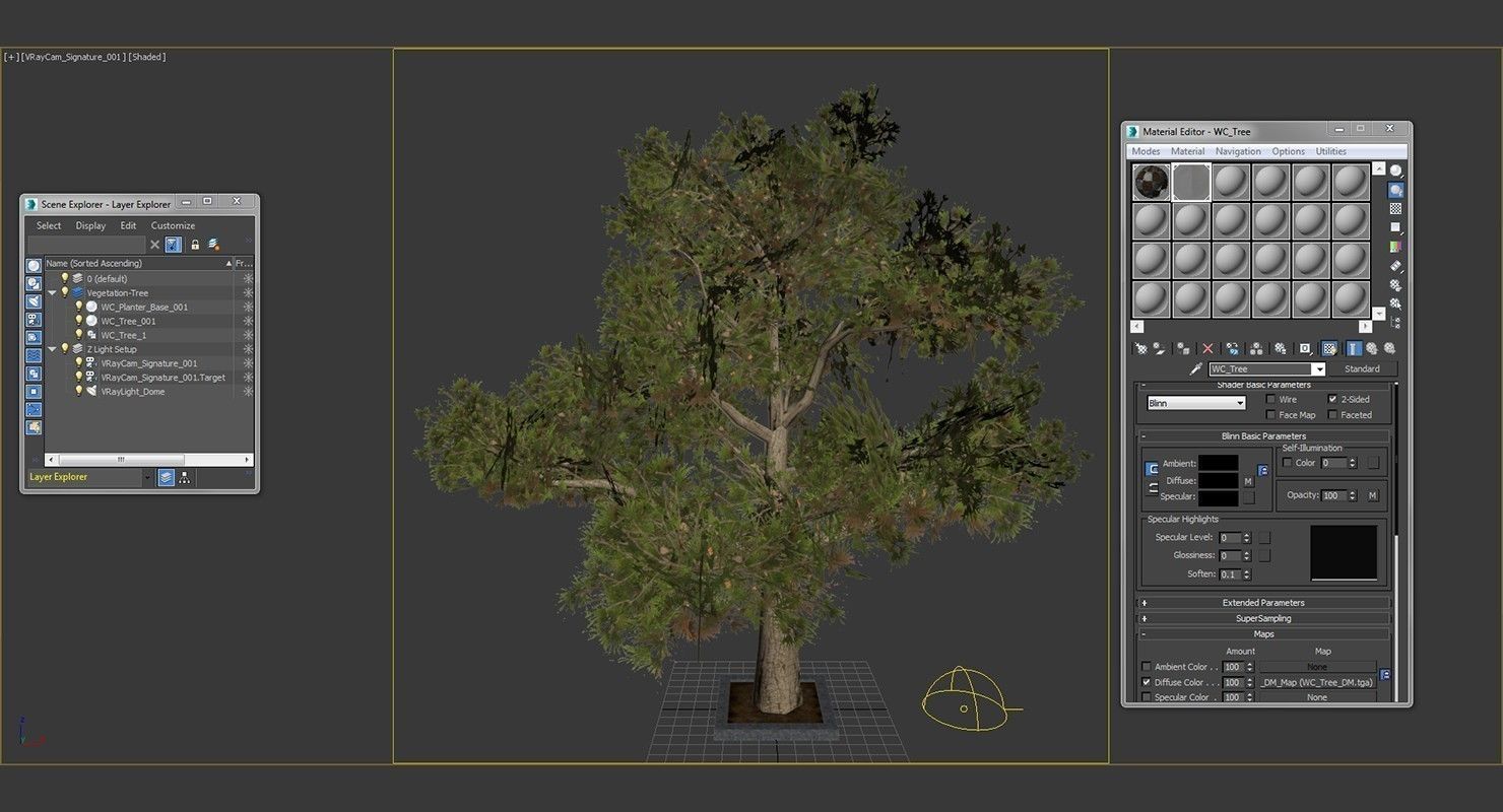 Tree Optimized Low-poly 3D model_14