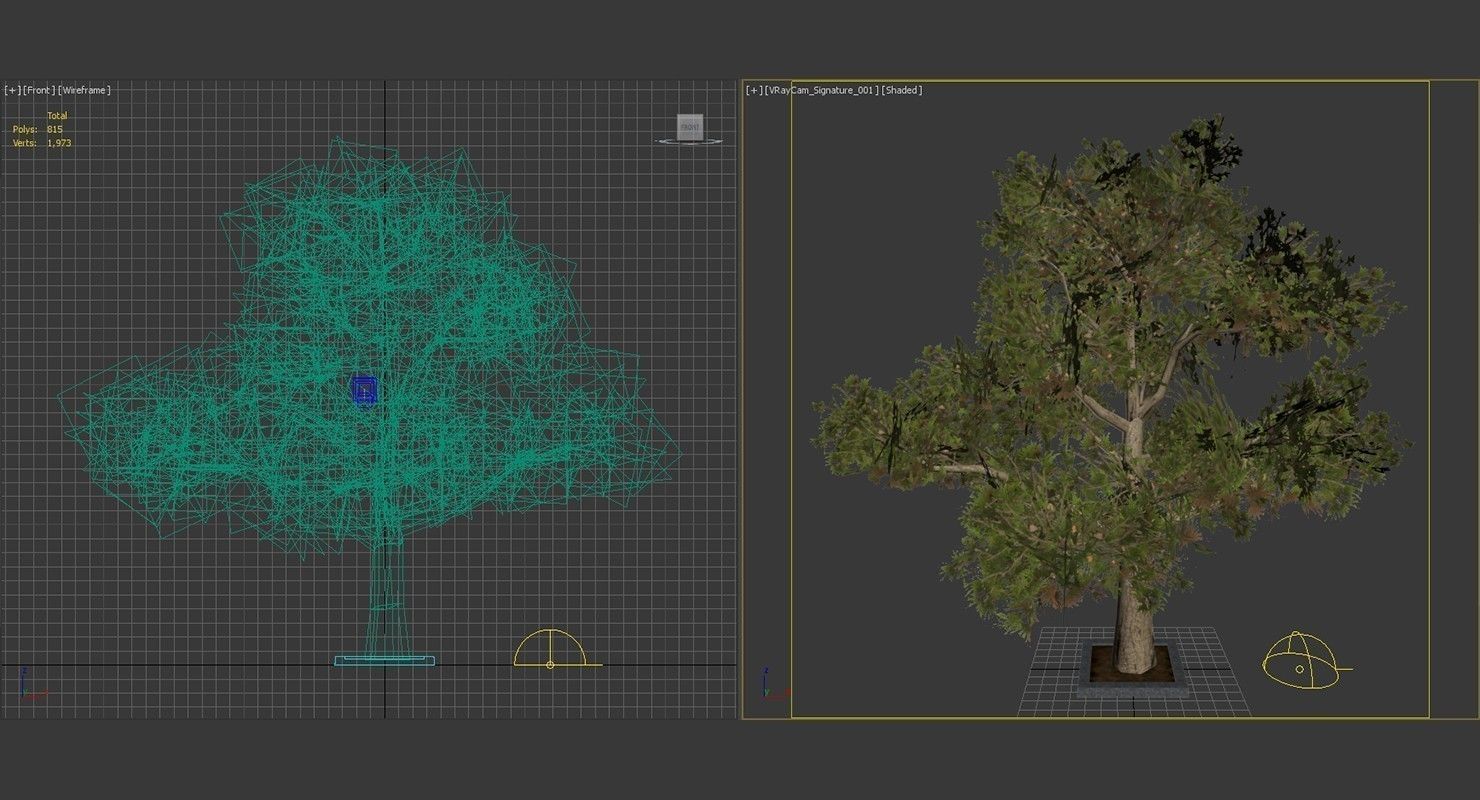 Tree Optimized Low-poly 3D model_13