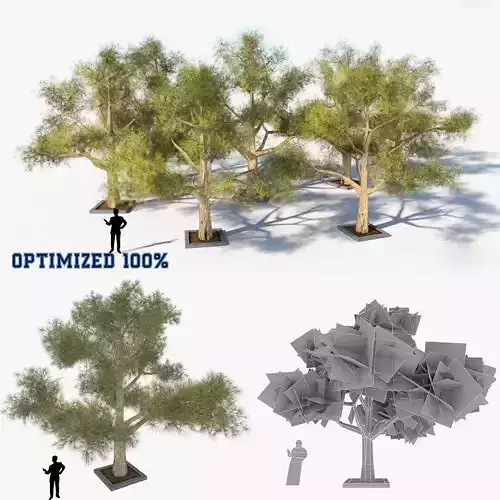 Tree Optimized Low-poly 3D model Tree Optimized Low-poly 3D model