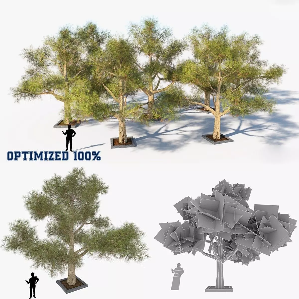 Tree Optimized Low-poly 3D model_0