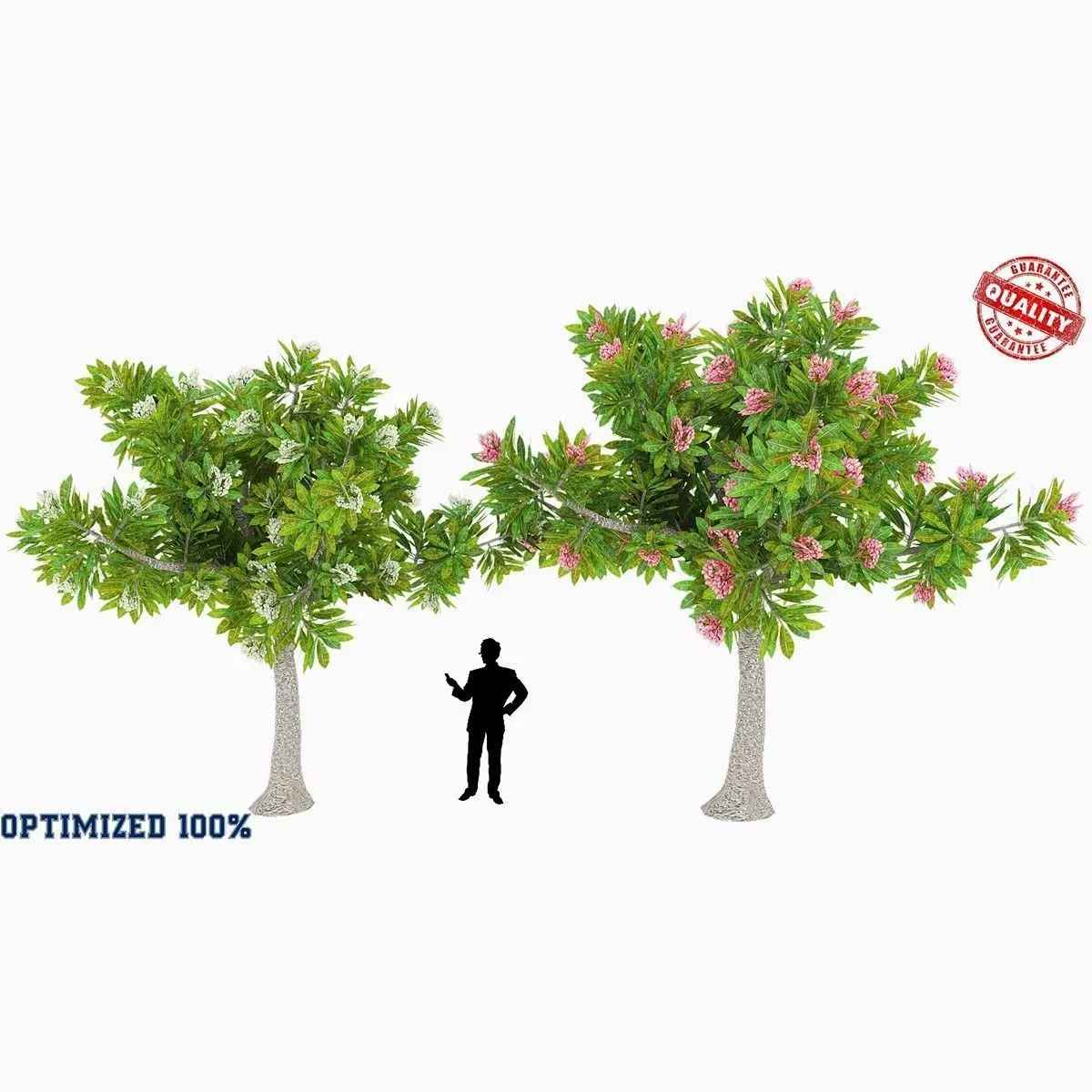 Peltophorum Flower 2 Trees Low-poly 3D model_0