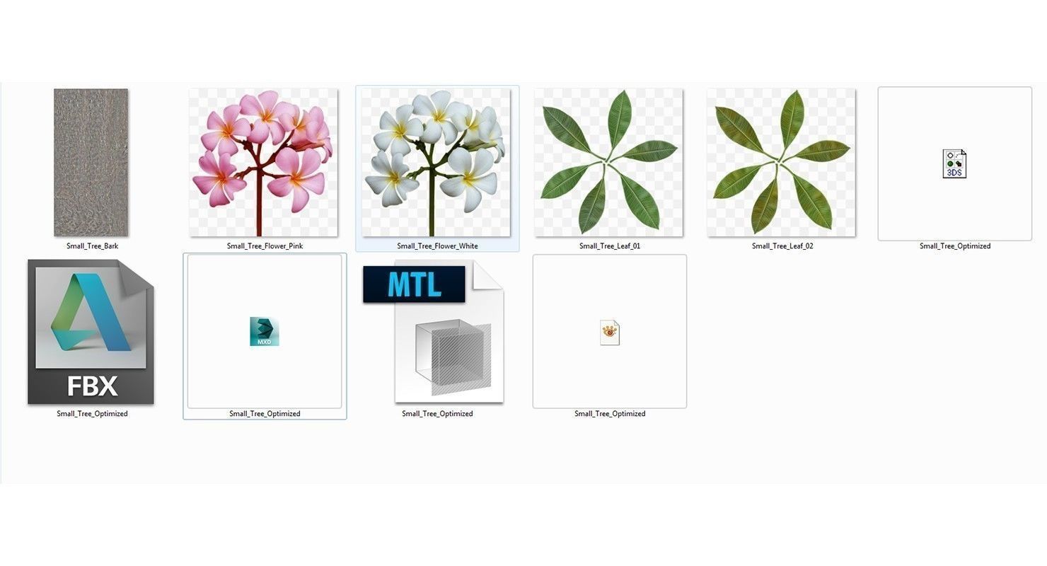 Peltophorum Flower 2 Trees Low-poly 3D model_12