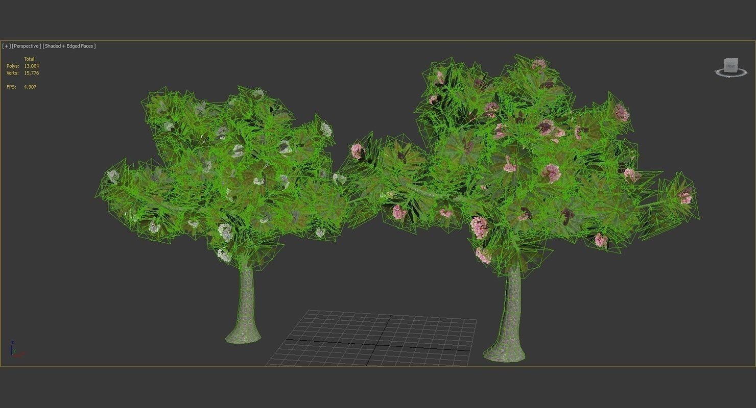 Peltophorum Flower 2 Trees Low-poly 3D model_8