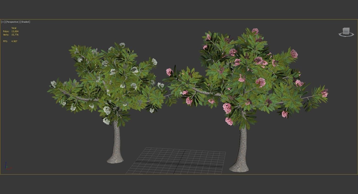 Peltophorum Flower 2 Trees Low-poly 3D model_7