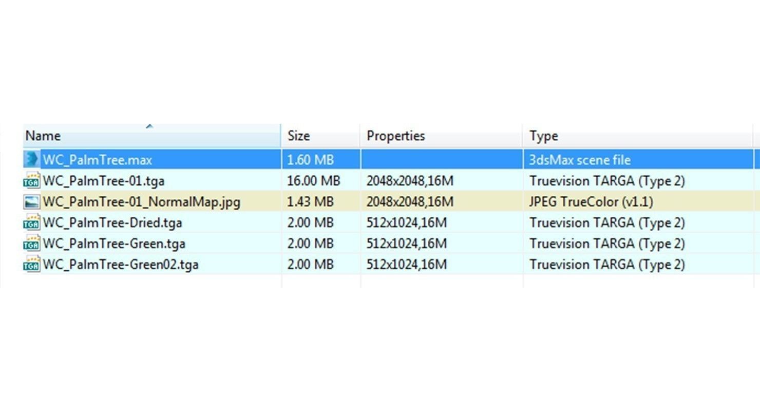 Palm Washingtonia 4 Trees Low-poly 3D model_7