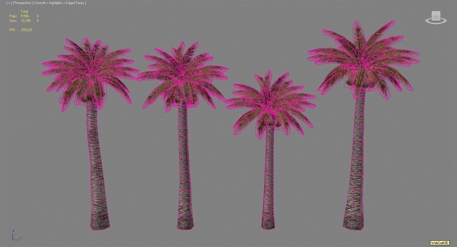 Palm Washingtonia 4 Trees Low-poly 3D model_5